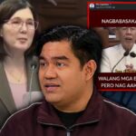 Nakuwestiyon sa ‘spliced video’: Sen. Pia, ‘demanded accuracy’ sa SONA